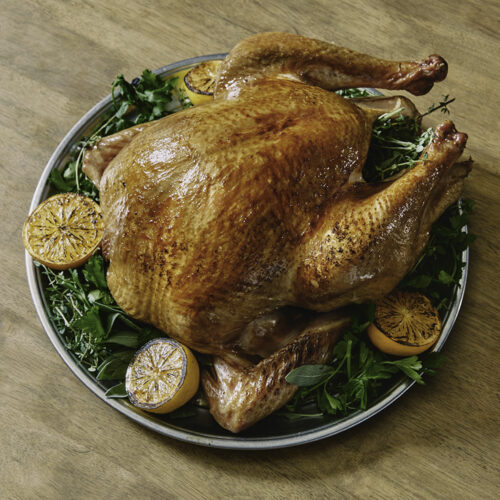 Turkey Tanksgiving